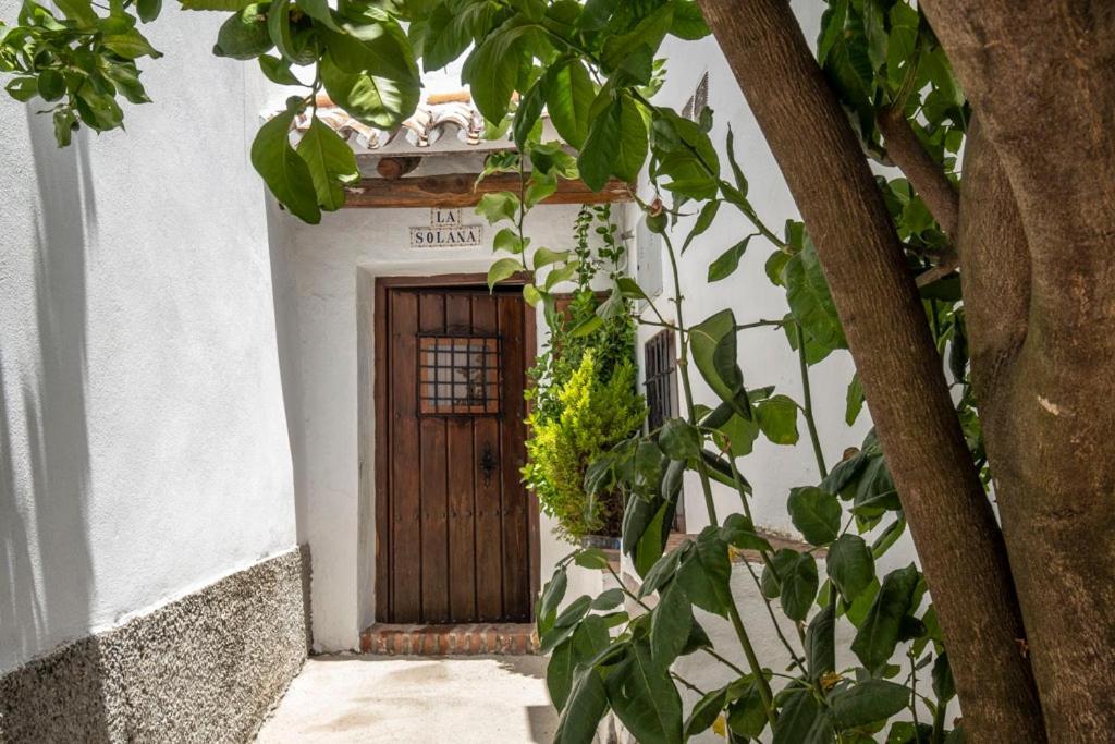 Casa Solana Villa Benadalid Exteriör bild